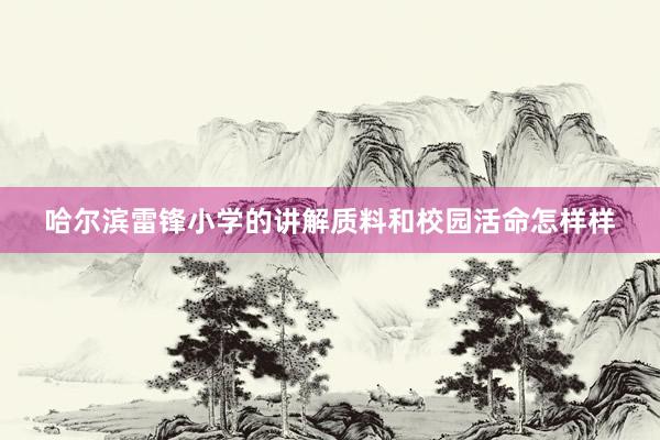 哈尔滨雷锋小学的讲解质料和校园活命怎样样