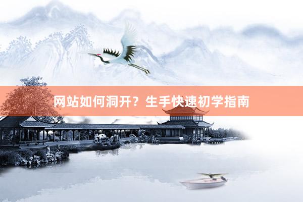 网站如何洞开？生手快速初学指南